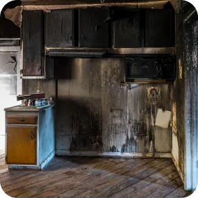 service image Service gallery 5